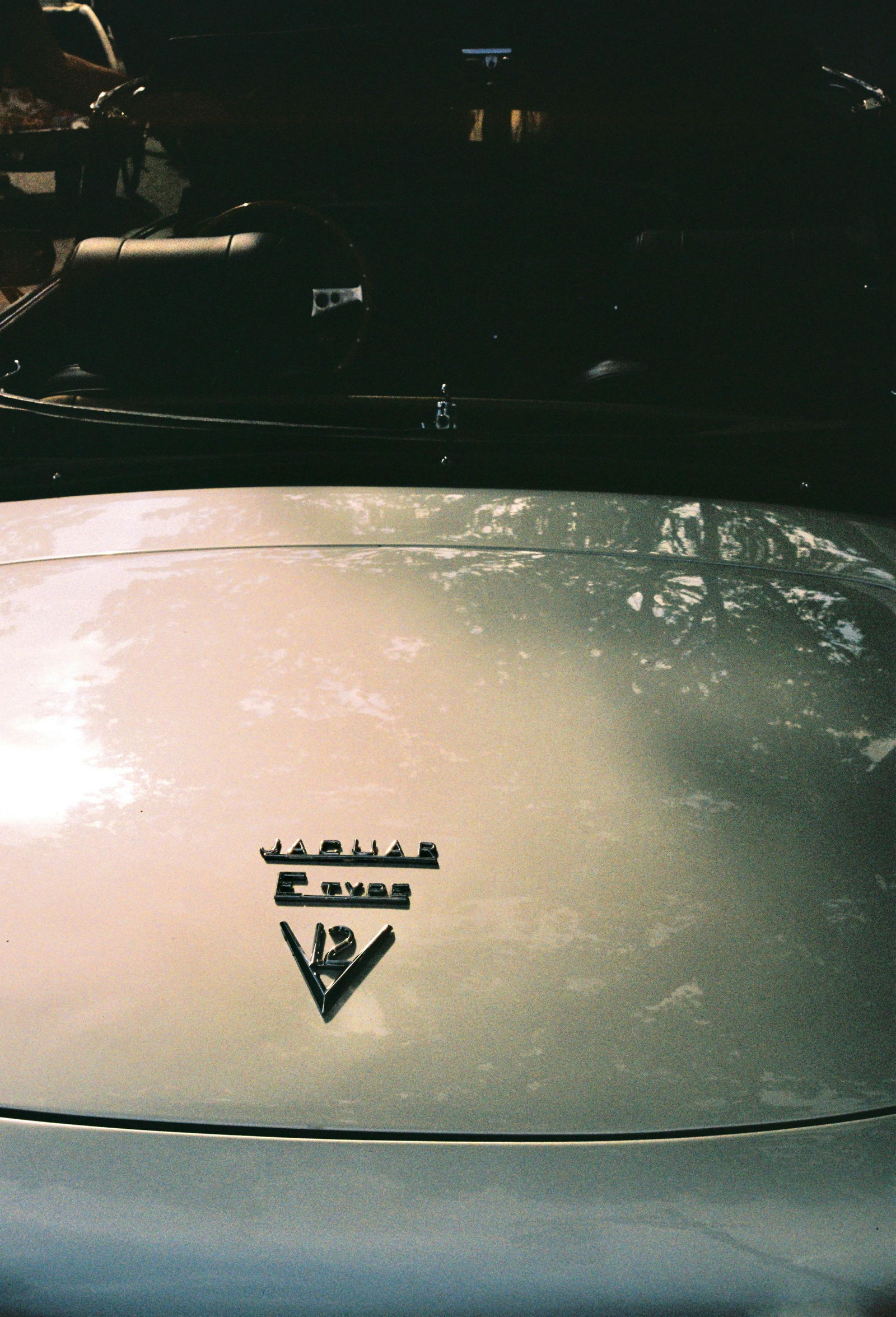 Cohere Raggiunge Valutazione Di 5 5 Miliardi AiBay Cohere Raggiunge Valutazione Di 5 5 Miliardi AiBay