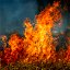 AI prevede il prossimo passo degli incendi boschivi